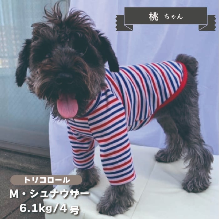 ボーダーロングTシャツ 小型犬 - VERY-PET