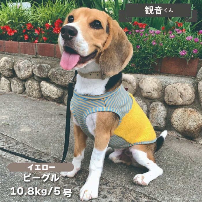 切替タンク 小型犬・ダックス用 - VERY-PET