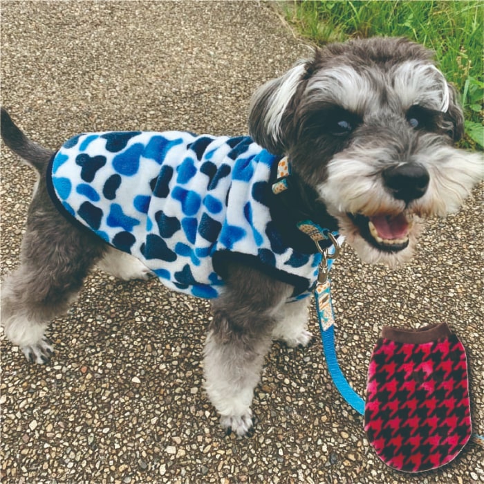 ふわさらタンク 小型犬・ダックス用 - VERY-PET