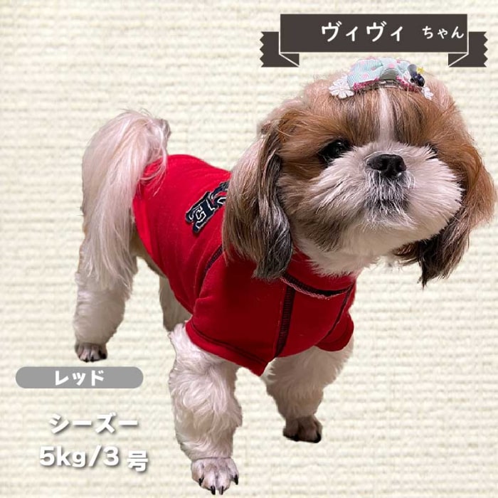 ピーストレーナー 小型犬・ダックス用 - VERY-PET