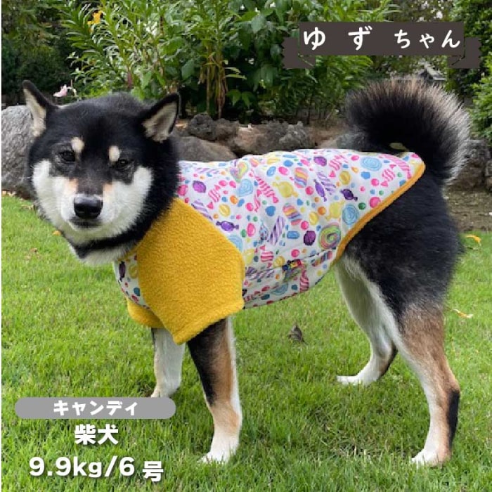 裏ボアプリントTシャツ 中型犬 - VERY-PET