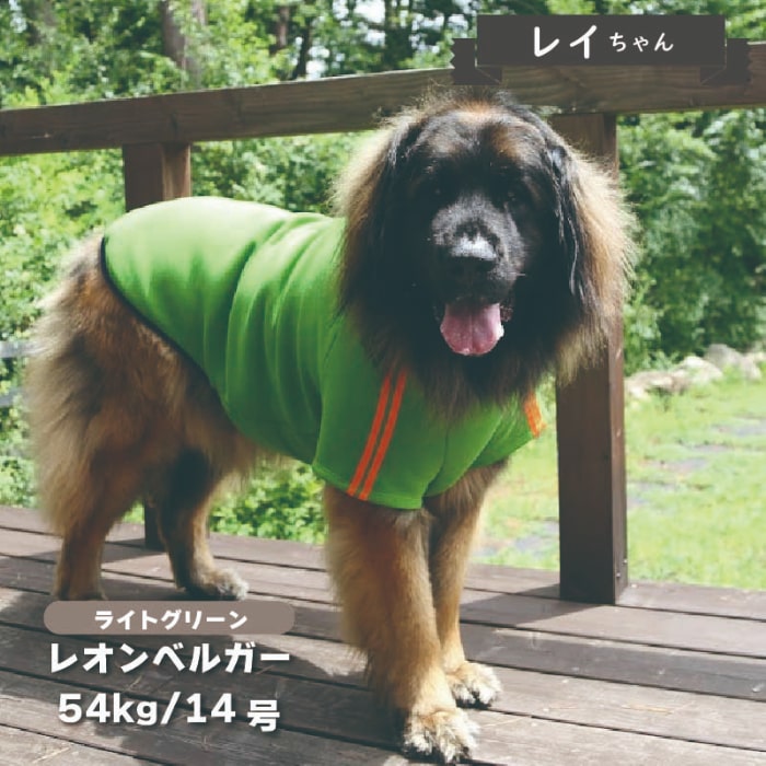 ジャージ風裏ボアTシャツ 超大型犬 - VERY-PET