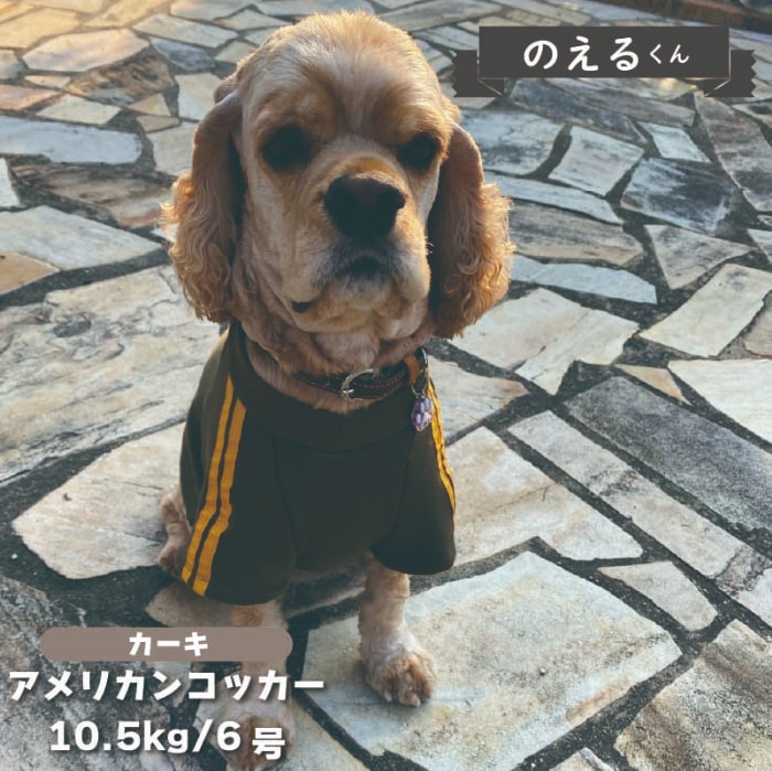 ジャージ風裏ボアTシャツ 中型犬 - VERY-PET