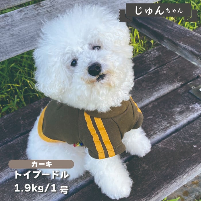 ジャージ風裏ボアTシャツ 小型犬・ダックス用 - VERY-PET