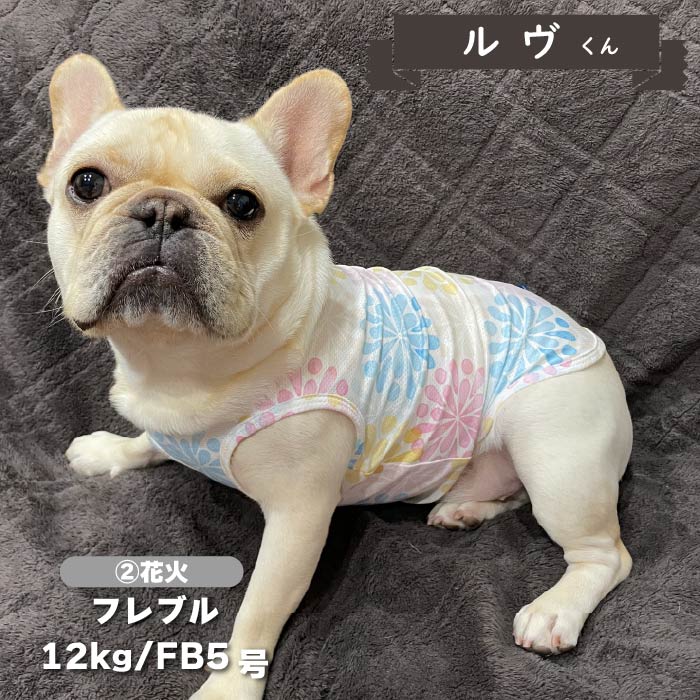 【接触冷感&濡らして冷たい】<br>クールプリントタンク フレブル・パグ - VERY-PET