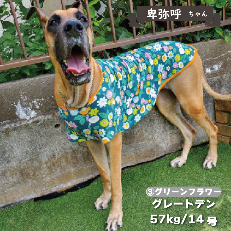 Web限定プリントTシャツ 超大型犬 - VERY-PET