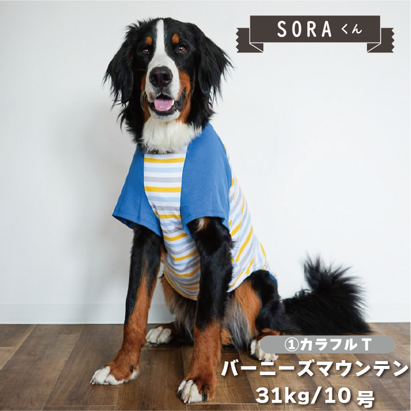 Web限定ボーダーTシャツ 2 大型犬 - VERY-PET