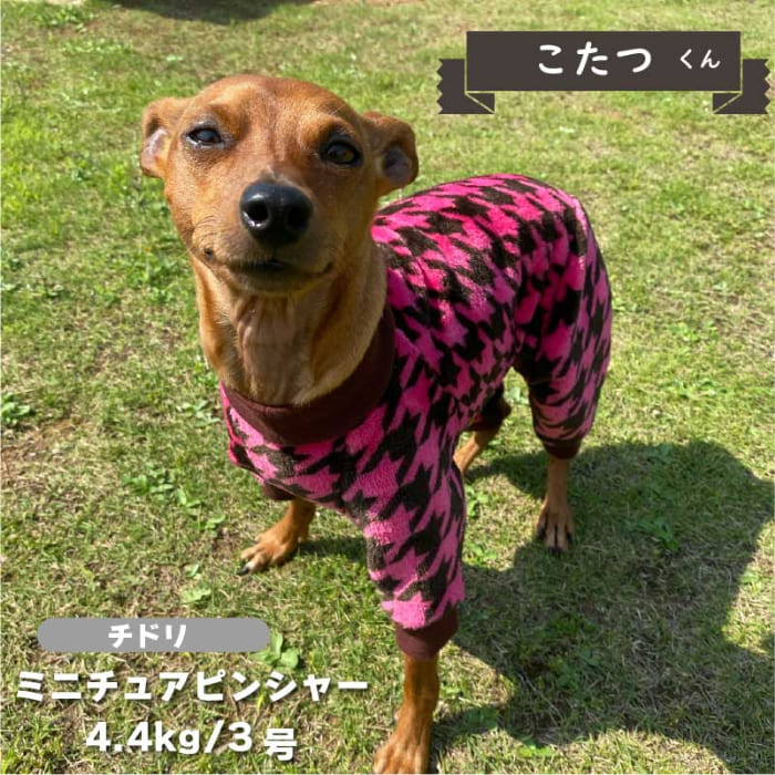ふわサラカバーオール 小型犬 - VERY-PET