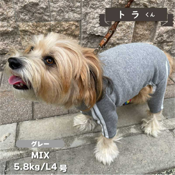 ジャージ風カバーオール 小型犬 - VERY-PET