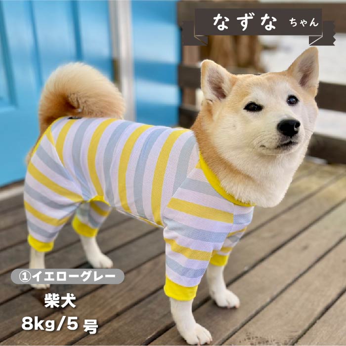 【接触冷感&濡らして冷たい】<br>クールボーダーカバーオール 小型犬・胴長 - VERY-PET