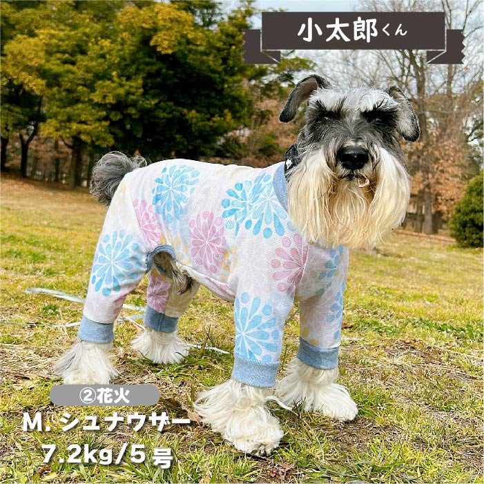 【接触冷感&濡らして冷たい】<br>クールプリントカバーオール 小型犬・胴長 - VERY-PET