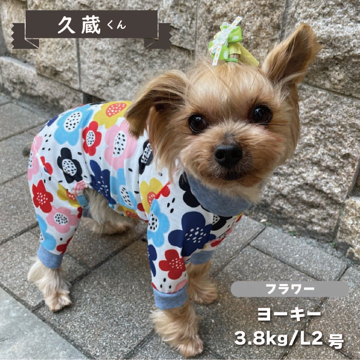 【Web限定】花柄プリントカバーオール  小型犬・胴長足長 - VERY-PET