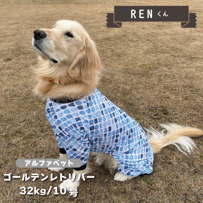 【Web限定】アルファベットプリントカバーオール 大型犬 - VERY-PET