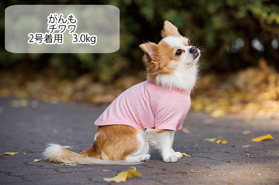綿100%】コットンTシャツ 小型犬・胴長・ダックス | VERY-PET