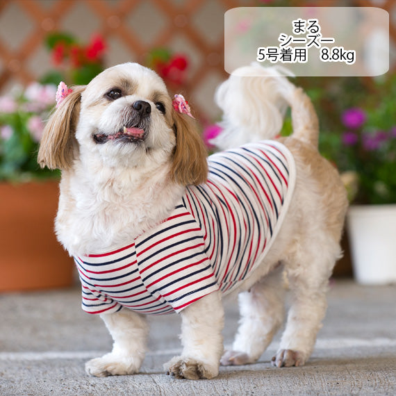 綿100】コットンTシャツ 小型犬・胴長・ダックス VERY-PET