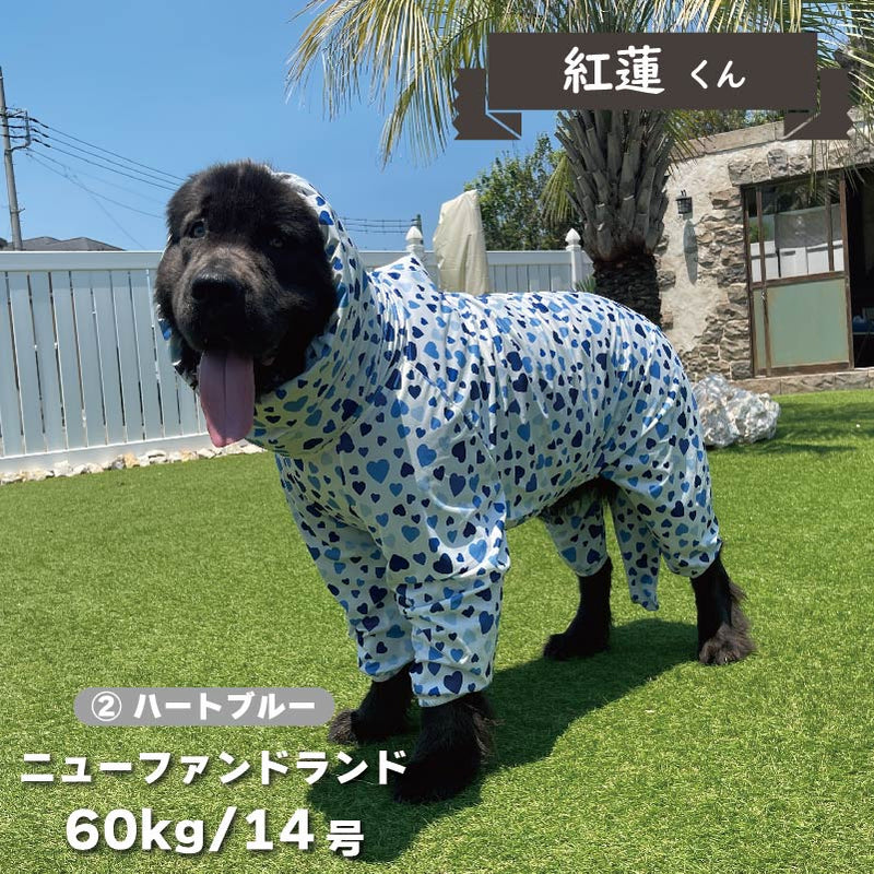 【新型】ストレッチフルカバー レインコート 4脚 超大型犬用 - VERY-PET