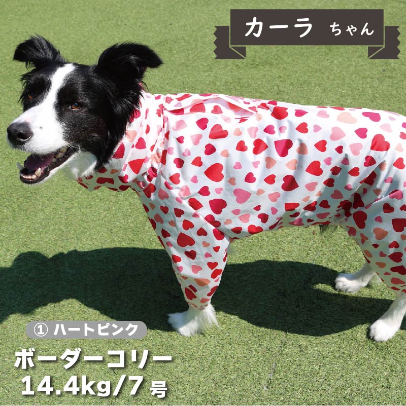 【新型】ストレッチフルカバー レインコート 4脚 中型犬用 - VERY-PET